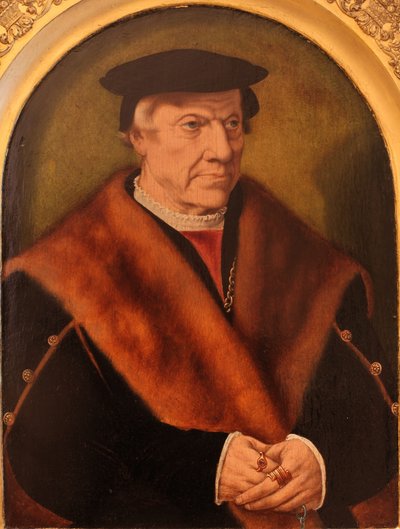 Portrait of a Man by Barthel Bruyn the Elder